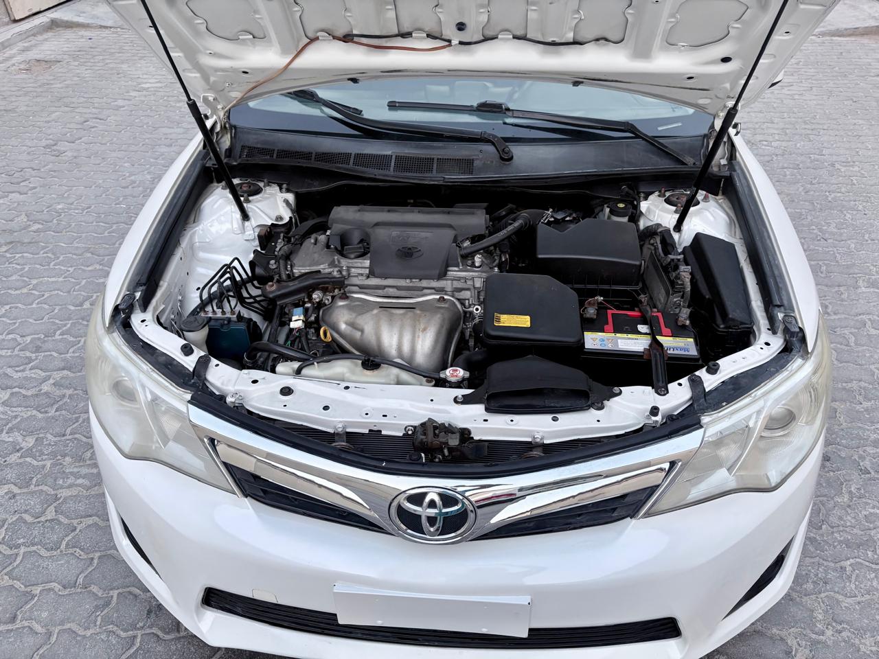 WhatsApp Image 2025-06-10 at 12.26